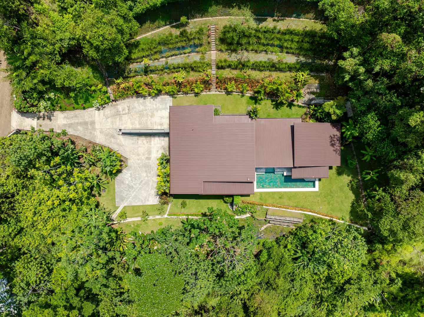 Villa Ballena — photo 4